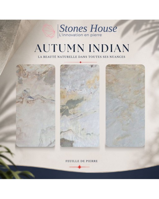 Feuille de pierre Indian autumn