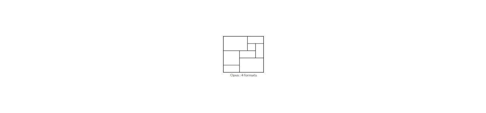 Opus : 4 formats